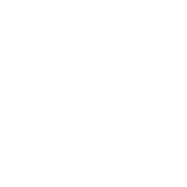 DIRA LOGO