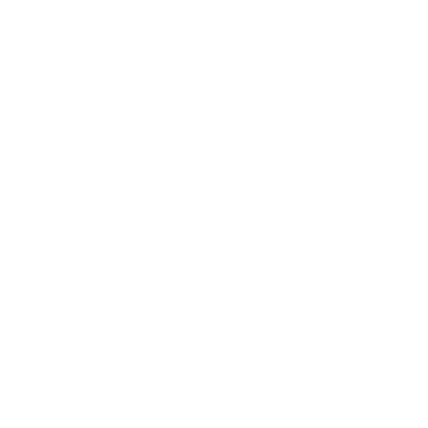 ICER LOGO