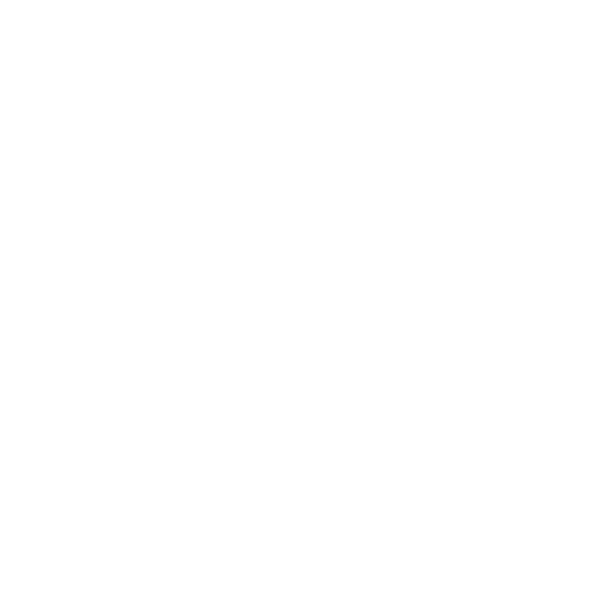 MAXIFLEX LOGO