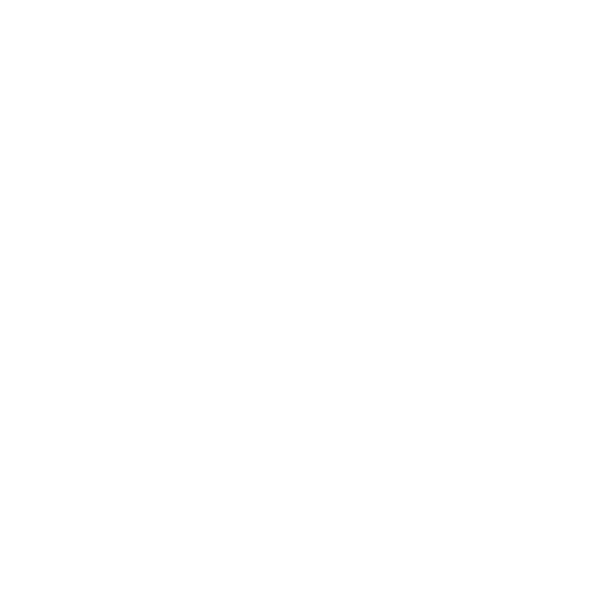 RAYBESTOS LOGO