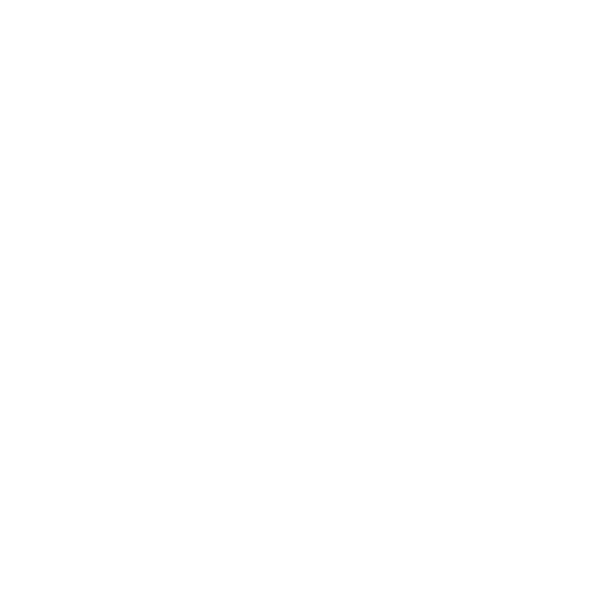 SKF LOGO