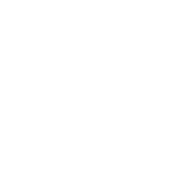 VALEO LOGO