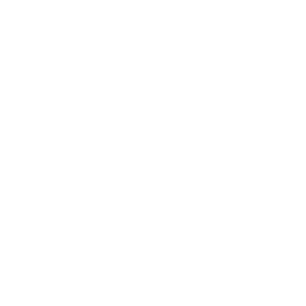 WAGNER LOCKHEED LOGO